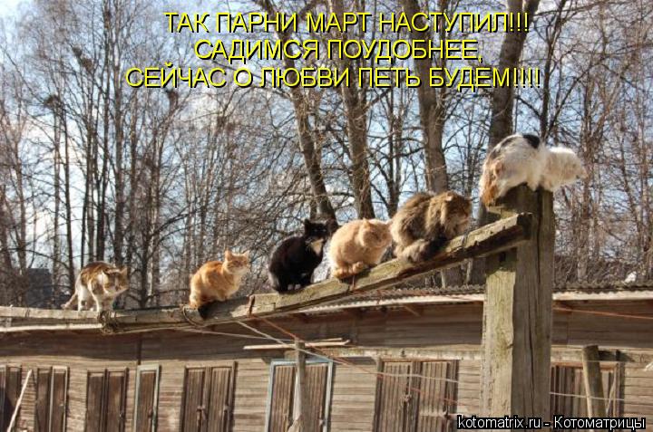 ТАК ПАРНИ МАРТ НАСТУПИЛ!!! САДИМСЯ ПОУДОБНЕЕ, САДИМСЯ ПОУДОБНЕЕ, СЕЙЧАС О ЛЮБВИ ПЕТЬ БУДЕМ!!!!... Котоматрица: ТАК ПАРНИ МАРТ НАСТУПИЛ!!! САДИМСЯ ПОУДОБНЕЕ, САДИМСЯ ПОУДОБНЕЕ, СЕЙЧАС О ЛЮБВИ ПЕТЬ БУДЕМ!!!!