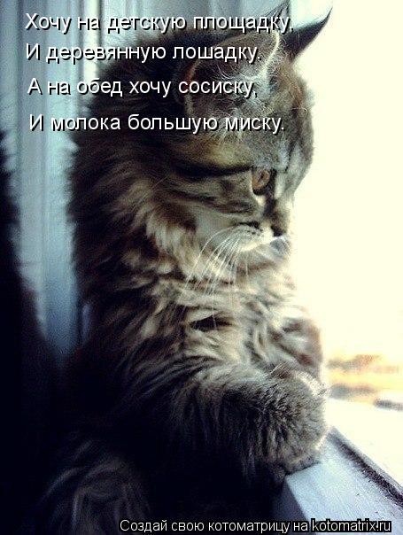 Хочу на детскую площадку, И деревянную лошадку. А на обед хочу сосиску, И молока большую миску.... Котоматрица: Хочу на детскую площадку, И деревянную лошадку. А на обед хочу сосиску, И молока большую миску.