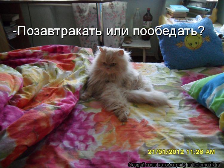 -Позавтракать или пообедать?... Котоматрица: -Позавтракать или пообедать?