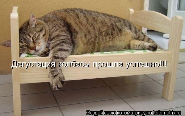 Дегустация колбасы прошла успешно!!!... Котоматрица: Дегустация колбасы прошла успешно!!!