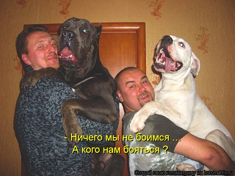 А кого нам бояться ? - Ничего мы не боимся ...... Котоматрица: А кого нам бояться ? - Ничего мы не боимся ...
