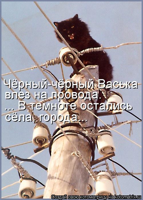 Чёрный-чёрный Васька влез на провода. ... В темноте остались сёла, города...... Котоматрица: Чёрный-чёрный Васька влез на провода. ... В темноте остались сёла, города...