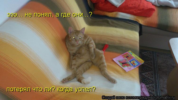 эээ... не понял, а где они...? потерял что ли? когда успел?... Котоматрица: эээ... не понял, а где они...? потерял что ли? когда успел?