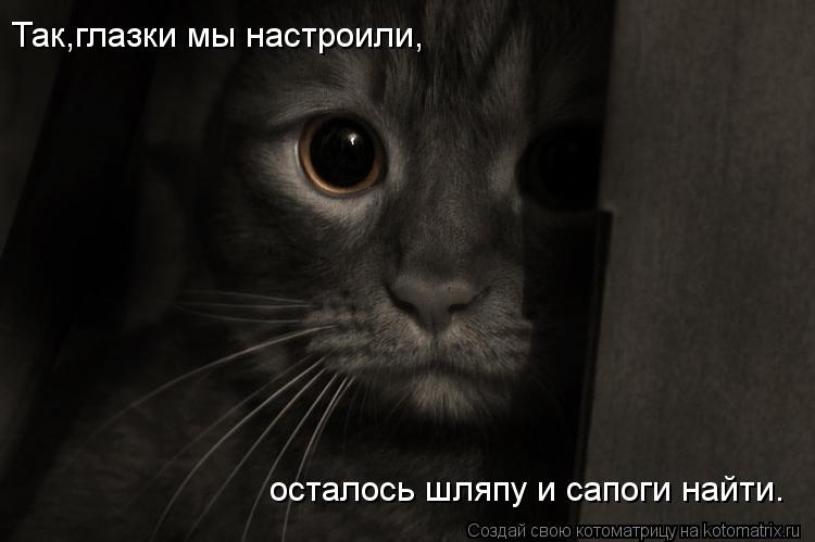 Так,глазки мы настроили, осталось шляпу и сапоги найти.... Котоматрица: Так,глазки мы настроили, осталось шляпу и сапоги найти.