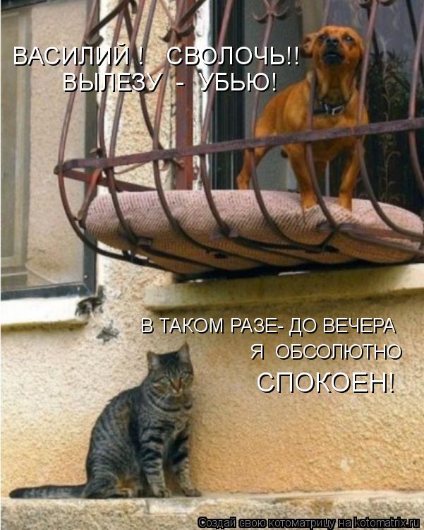 В ТАКОМ РАЗЕ- ДО ВЕЧЕРА Я ОБСОЛЮТНО СПОКОЕН! ВЫЛЕЗУ - УБЬЮ! ВАСИЛИЙ ! СВОЛОЧЬ!!... Котоматрица: В ТАКОМ РАЗЕ- ДО ВЕЧЕРА Я ОБСОЛЮТНО СПОКОЕН! ВЫЛЕЗУ - УБЬЮ! ВАСИЛИЙ ! СВОЛОЧЬ!!