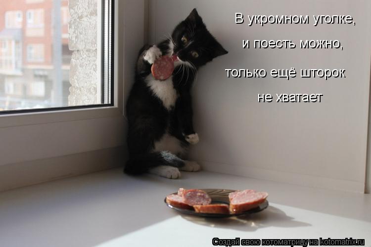 В укромном уголке, и поесть можно, только ещё шторок не хватает... Котоматрица: В укромном уголке, и поесть можно, только ещё шторок не хватает