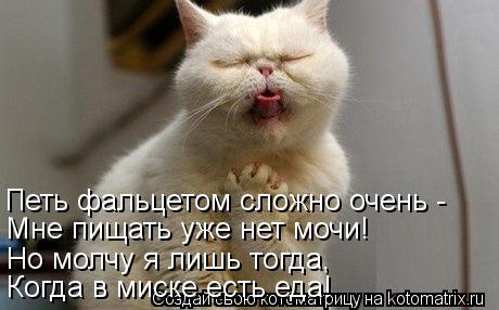 Петь фальцетом сложно очень - Мне пищать уже нет мочи! Но молчу я лишь тогда, Когда в миске есть ед... Котоматрица: Петь фальцетом сложно очень - Мне пищать уже нет мочи! Но молчу я лишь тогда, Когда в миске есть еда!