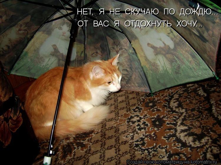 НЕТ, Я НЕ СКУЧАЮ ПО ДОЖДЮ... ОТ ВАС Я ОТДОХНУТЬ ХОЧУ...... Котоматрица: НЕТ, Я НЕ СКУЧАЮ ПО ДОЖДЮ... ОТ ВАС Я ОТДОХНУТЬ ХОЧУ...