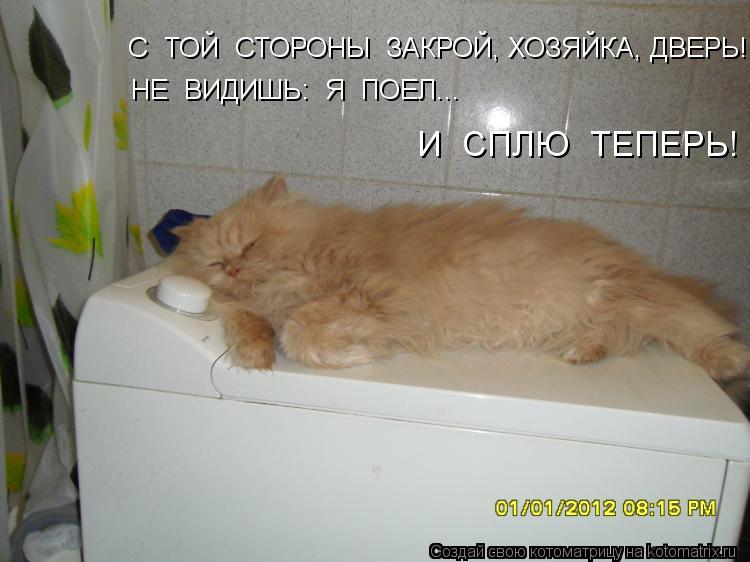 С ТОЙ СТОРОНЫ ЗАКРОЙ, ХОЗЯЙКА, ДВЕРЬ! НЕ ВИДИШЬ: Я ПОЕЛ... И СПЛЮ ТЕПЕРЬ!... Котоматрица: С ТОЙ СТОРОНЫ ЗАКРОЙ, ХОЗЯЙКА, ДВЕРЬ! НЕ ВИДИШЬ: Я ПОЕЛ... И СПЛЮ ТЕПЕРЬ!