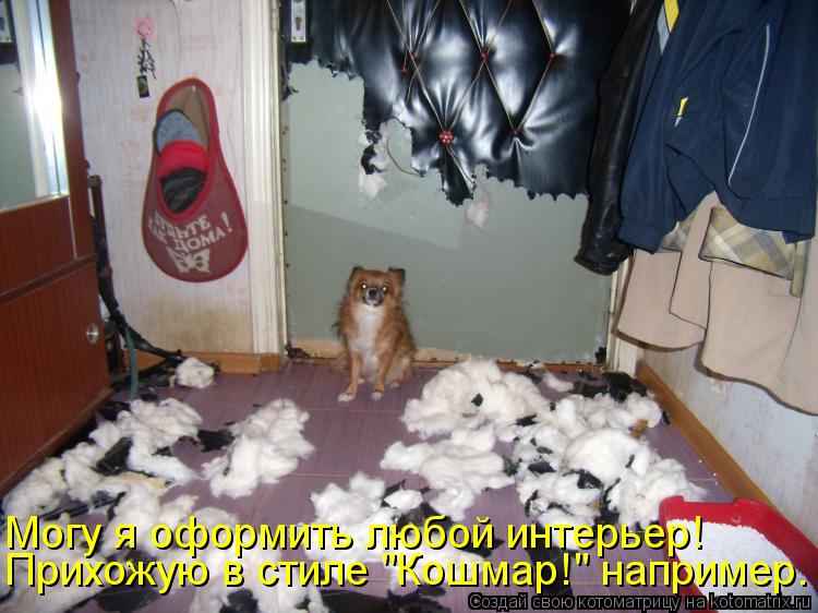 Прихожую в стиле "Кошмар!" например. Могу я оформить любой интерьер!... Котоматрица: Прихожую в стиле "Кошмар!" например. Могу я оформить любой интерьер!