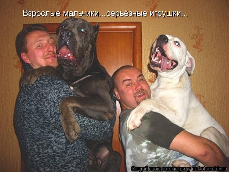 Взрослые мальчики...серьёзные игрушки...... Котоматрица: Взрослые мальчики...серьёзные игрушки...