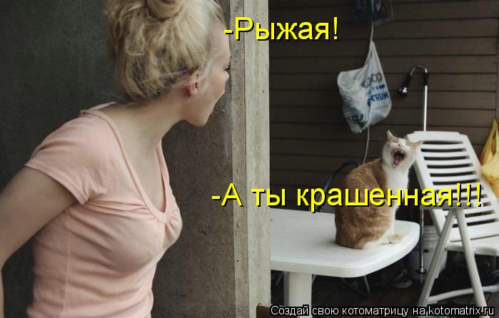 -Рыжая! -А ты крашенная!!!... Котоматрица: -Рыжая! -А ты крашенная!!!