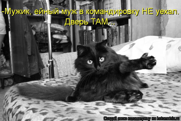 Котоматрица: -Мужик, ейный муж в командировку НЕ уехал. Дверь ТАМ...