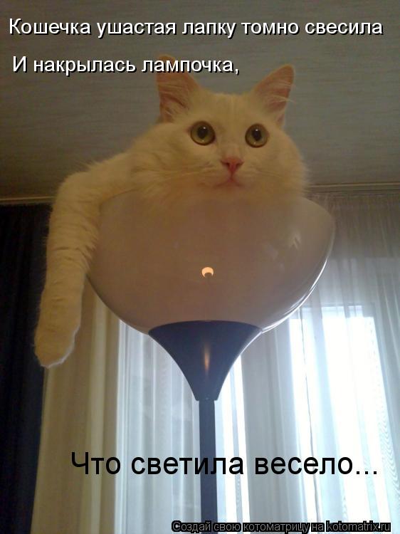 http://kotomatrix.ru/images/lolz/2012/02/29/1125306.jpg