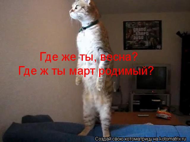 Где же ты, весна? Где ж ты март родимый?... Котоматрица: Где же ты, весна? Где ж ты март родимый?