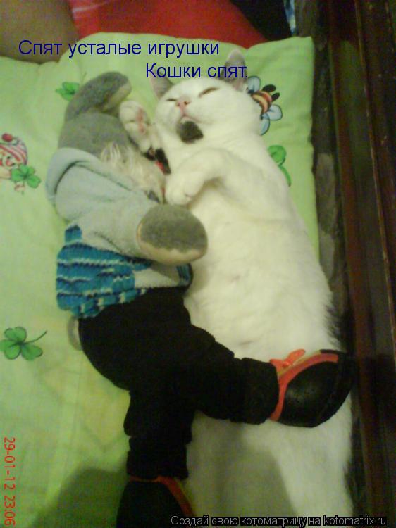 Спят усталые игрушки Кошки спят.... Котоматрица: Спят усталые игрушки Кошки спят.