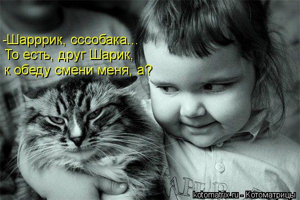 Котоматрица: -Шарррик, сссобака... То есть, друг Шарик, к обеду смени меня, а?