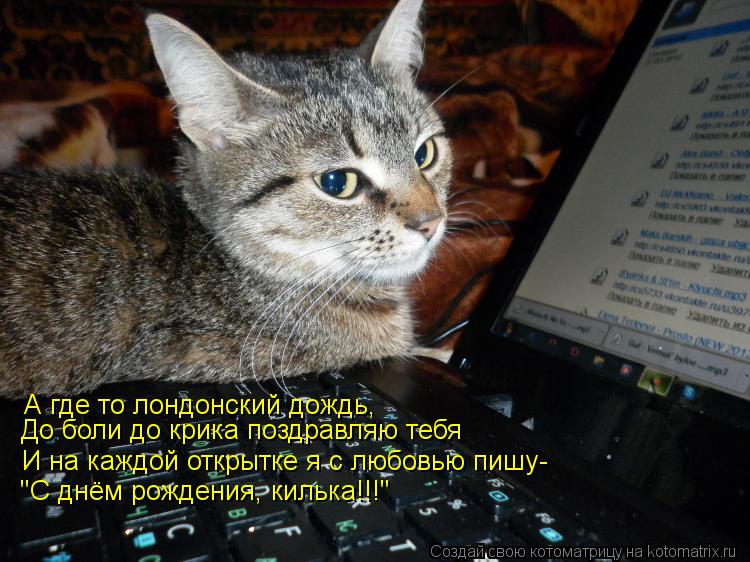Котоматрица: А где то лондонский дождь, И на каждой открытке я с любовью пишу- До боли до крика поздравляю тебя "С днём рождения, килька!!!"