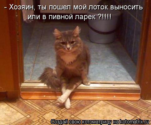 Котоматрица: - Хозяин, ты пошел мой лоток выносить или в пивной ларек ?!!!!