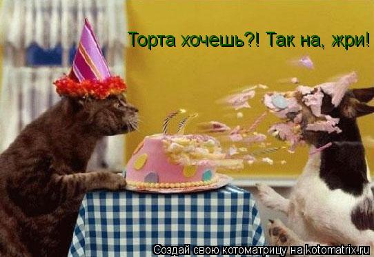 Торта хочешь?! Так на, жри!... Котоматрица: Торта хочешь?! Так на, жри!