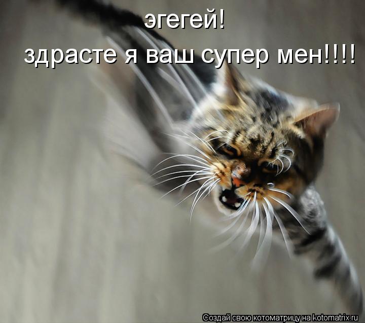 Котоматрица: эгегей!   здрасте я ваш супер мен!!!!