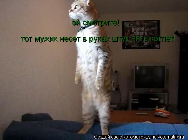 Котоматрица: эй смотрите!  тот мужик несет в руках штук пять котлет!