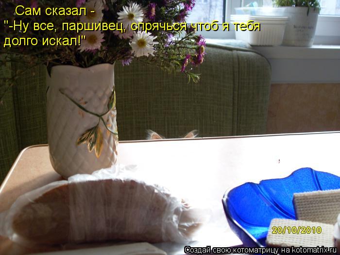 Сам сказал - "-Ну все, паршивец, спрячься чтоб я тебя долго искал!"... Котоматрица: Сам сказал - "-Ну все, паршивец, спрячься чтоб я тебя долго искал!"