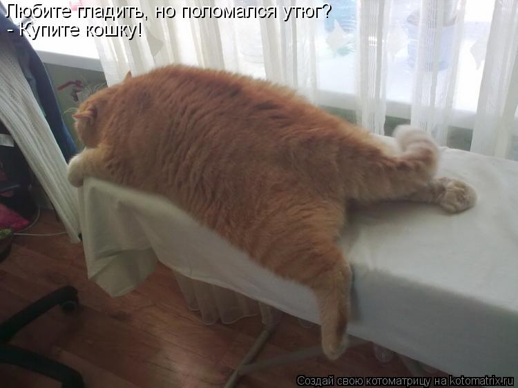 Любите гладить, но поломался утюг? - Купите кошку!... Котоматрица: Любите гладить, но поломался утюг? - Купите кошку!