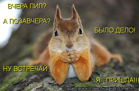 Котоматрица: ВЧЕРА ПИЛ? А ПОЗАВЧЕРА? БЫЛО ДЕЛО! НУ ВСТРЕЧАЙ Я   ПРИШЛА!!!!