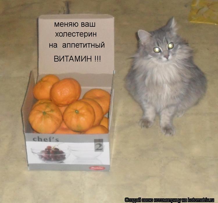 Котоматрица: меняю ваш  холестерин на  аппетитный ВИТАМИН !!!