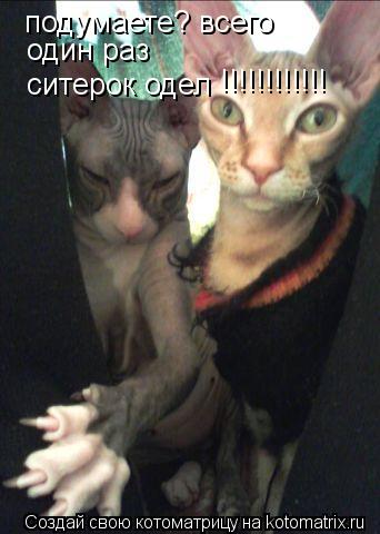 подумаете? всего один раз ситерок одел !!!!!!!!!!!!... Котоматрица: подумаете? всего один раз ситерок одел !!!!!!!!!!!!