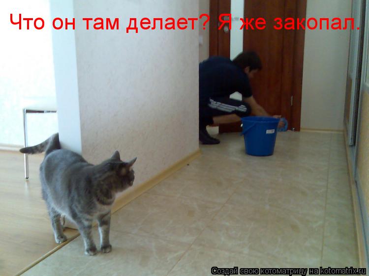 Что он там делает? Я же закопал.... Котоматрица: Что он там делает? Я же закопал.