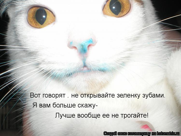 Вот говорят — не открывайте зеленку зубами. Я вам больше скажу- Лучше вообще ее не трогайте!... Котоматрица: Вот говорят — не открывайте зеленку зубами. Я вам больше скажу- Лучше вообще ее не трогайте!