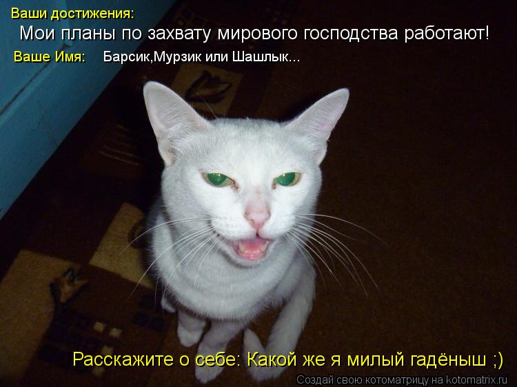 Котоматрица: Мои планы по захвату мирового господства работают! Ваши достижения: Ваше Имя: Барсик,Мурзик или Шашлык... Расскажите о себе: Какой же я милый 