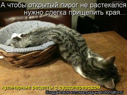 Котоматрица: А чтобы открытый пирог не растекался нужно слегка прищепить края... кулинарные рецепты с сурдопереводом