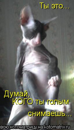 Котоматрица: Ты это... Думай, КОГО ты голым снимаешь...