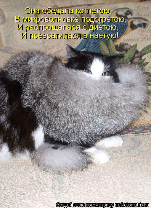 Котоматрица: Она обедала котлетою, В микроволновке подогретою, И распрощалася с диетою, И превратилася в наетую!