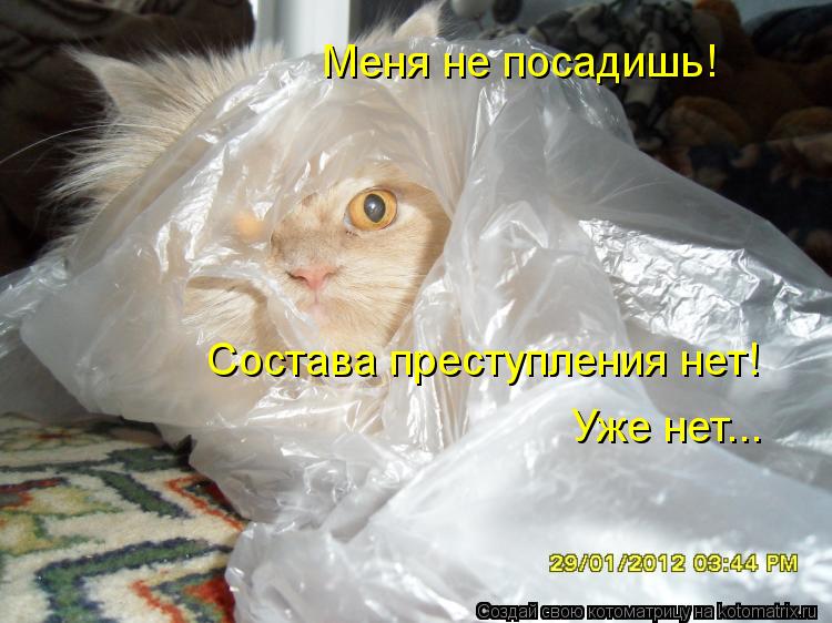 Котоматрица: Меня не посадишь! Состава преступления нет! Уже нет...