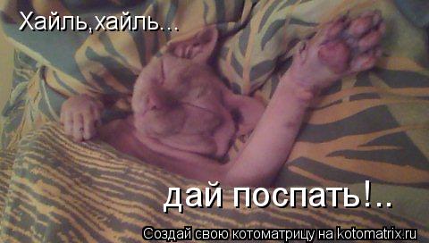 Котоматрица: Хайль,хайль... дай поспать!..