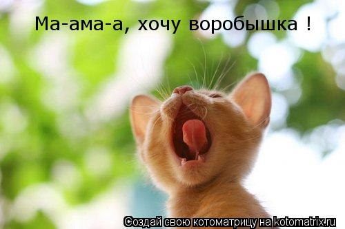 Котоматрица: Ма-ама-а, хочу воробышка !