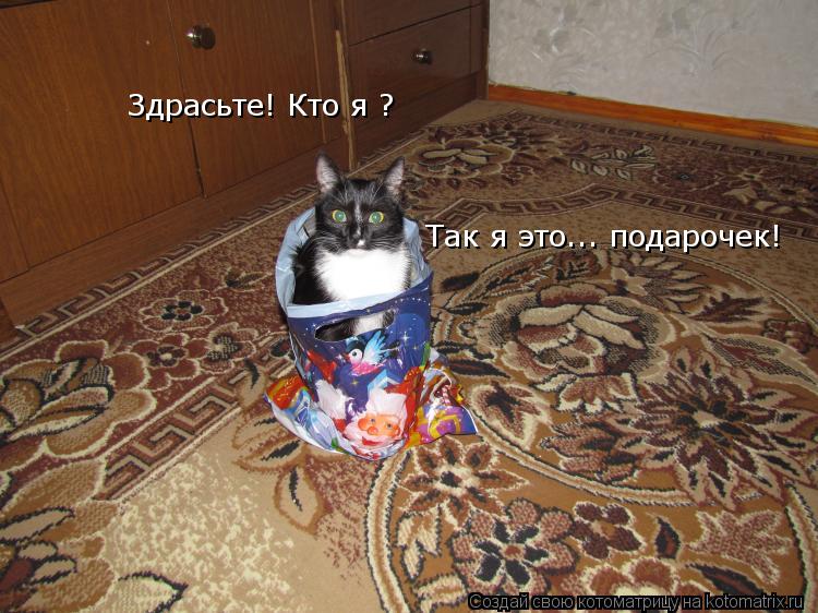 Котоматрица: Здрасьте! Кто я ? Так я это... подарочек!