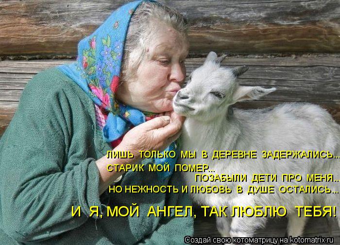 Котоматрица: ЛИШЬ  ТОЛЬКО  МЫ  В  ДЕРЕВНЕ  ЗАДЕРЖАЛИСЬ... СТАРИК  МОЙ  ПОМЕР... ПОЗАБЫЛИ  ДЕТИ  ПРО  МЕНЯ.... НО НЕЖНОСТЬ И ЛЮБОВЬ  В  ДУШЕ  ОСТАЛИСЬ... И  Я, МОЙ 