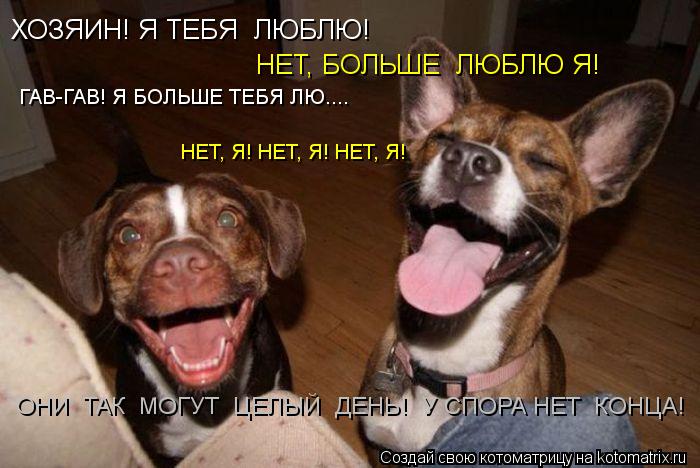 Котоматрица: ХОЗЯИН! Я ТЕБЯ  ЛЮБЛЮ! ГАВ-ГАВ! Я БОЛЬШЕ ТЕБЯ ЛЮ.... НЕТ, БОЛЬШЕ  ЛЮБЛЮ Я! НЕТ, Я! НЕТ, Я! НЕТ, Я! ОНИ  ТАК  МОГУТ  ЦЕЛЫЙ  ДЕНЬ!  У СПОРА НЕТ  КОНЦА!