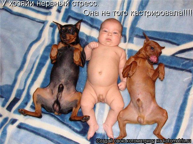 Котоматрица: У хозяйи нервный стресс. Она не того кастрировала!!!!