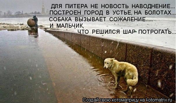 Котоматрица: ДЛЯ  ПИТЕРА  НЕ  НОВОСТЬ  НАВОДНЕНИЕ... ПОСТРОЕН  ГОРОД  В  УСТЬЕ, НА  БОЛОТАХ.... СОБАКА  ВЫЗЫВАЕТ  СОЖАЛЕНИЕ..... И  МАЛЬЧИК,   ЧТО  РЕШИЛСЯ  ШАР  П