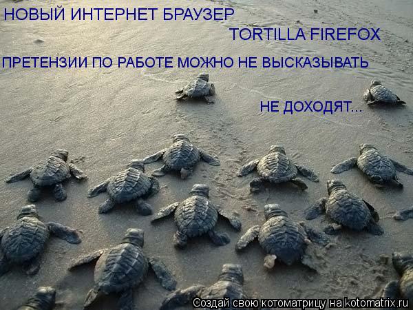 Котоматрица: НОВЫЙ ИНТЕРНЕТ БРАУЗЕР TORTILLA FIREFOX ПРЕТЕНЗИИ ПО РАБОТЕ МОЖНО НЕ ВЫСКАЗЫВАТЬ НЕ ДОХОДЯТ...