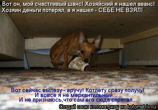 Котоматрица: Вот он, мой счастливый шанс! Хозяйский я нашел аванс! Хозяин деньги потерял, а я нашел - СЕБЕ НЕ ВЗЯЛ! Вот сейчас вылезу - вручу! Котлету сразу 