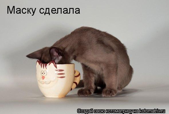 Котоматрица: Маску сделала