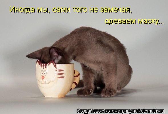 Котоматрица: Иногда мы, сами того не замечая, одеваем маску...