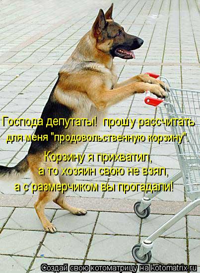 Котоматрица: Господа депутаты!  прошу рассчитать  для меня "продовольственную корзину". Корзину я прихватил,  а то хозяин свою не взял,  а с размерчиком вы 